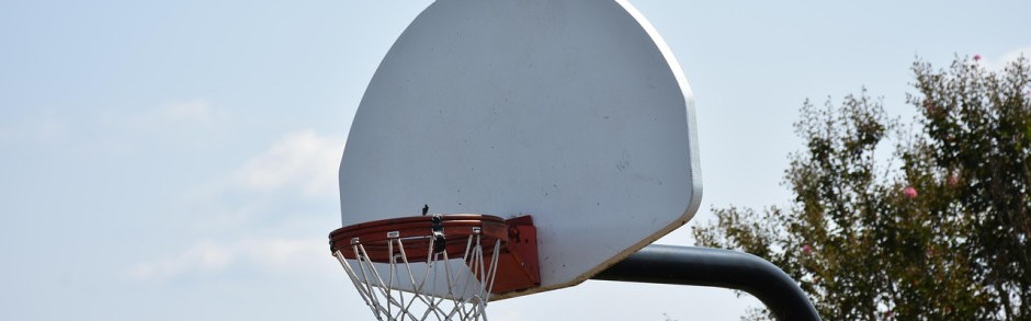 男篮亚洲杯历届冠军都有哪些国家？中国队16次位居榜首！